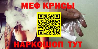стаф Гай