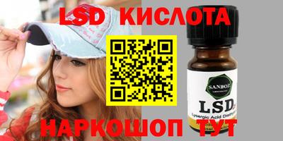 стаф Гай