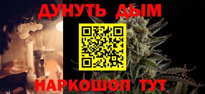 стаф Гай