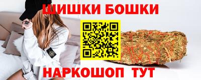 стаф Гай