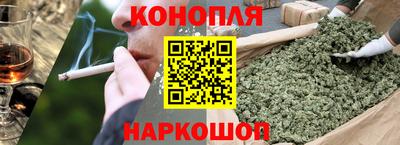 стаф Гай