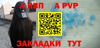 стаф Гай