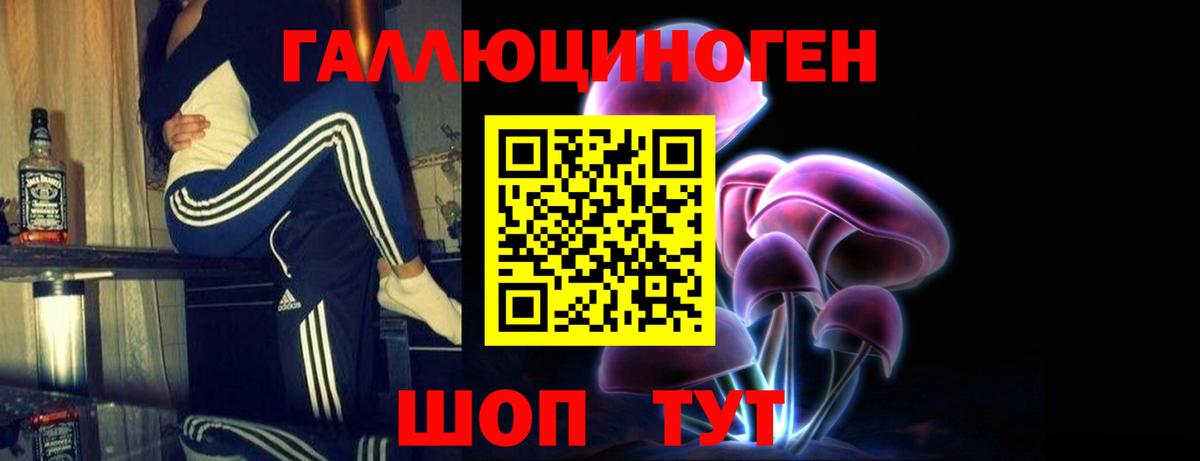 Назрань  Галлюциногенные грибы мицелий  Вход с VPN 